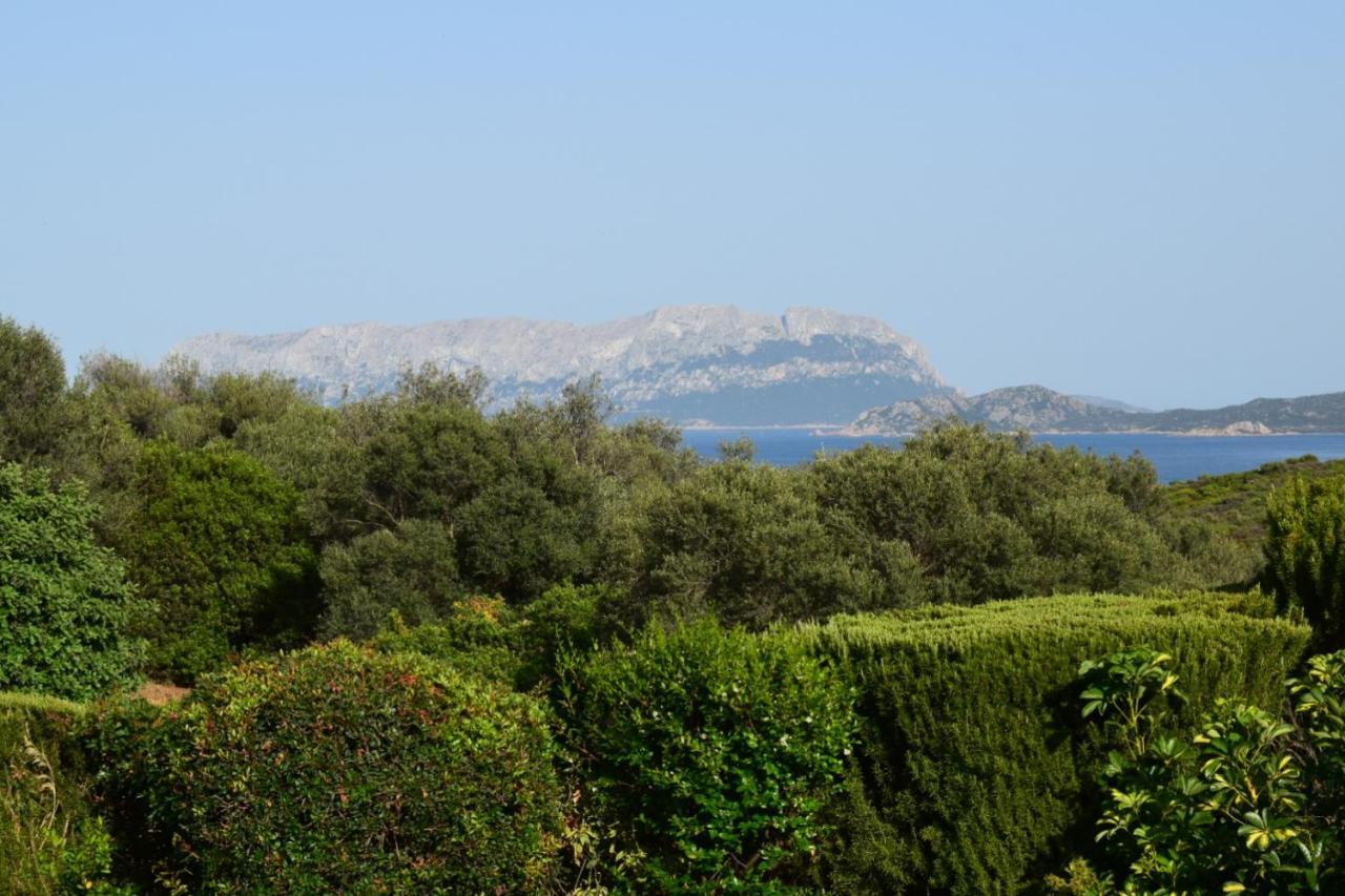 Sa Domitta Di Suiles Διαμέρισμα Όλμπια Εξωτερικό φωτογραφία